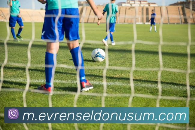 App 示例图